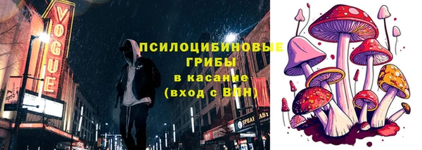 амф Кодинск