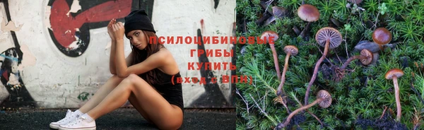 амф Кодинск