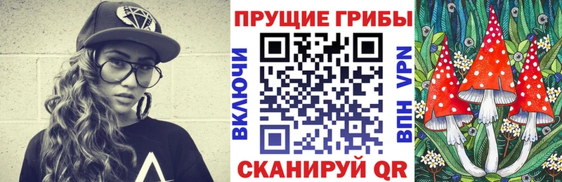 mega рабочий сайт  Красный Сулин  Галлюциногенные грибы Psilocybine cubensis 
